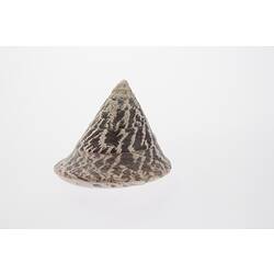 Conical shell with brown and white markings.