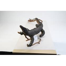 <em>Varanus varius</em>, Lace Monitor. [27301]