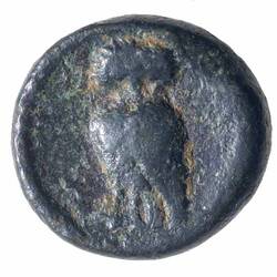 NU 2167, Coin, Ancient Greek States, Reverse