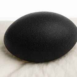 Our Wondrous Planet, Our Wild Family: Egg - Emu, <em>Dromaius novaehollandiae novaehollandiae</em>