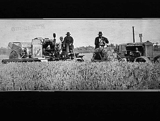 HEADERS IN THE FIELD: RICE HEADER 100 ACRE CROP 2 TON PER ACRE 30 BAGS PER ACRE: MAY 1933: OWNED BY MR. W. IRWIN, GRIFFITH, TAKING-OFF MR. PRIOR'S CROP