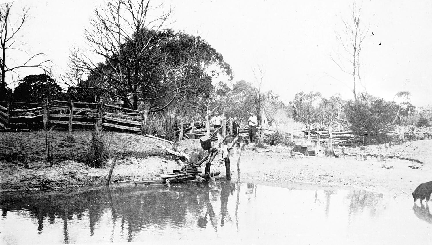 Negative Chetwynd District, Victoria, 1930