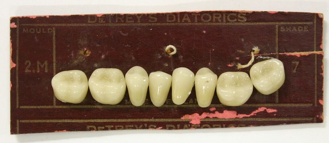 Artificial Teeth