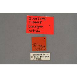 Entomology type specimen labels.