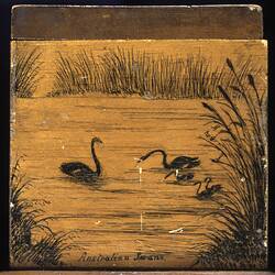 The Albert Le Souef box, end with black swans
