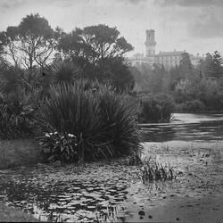 Lantern Slide - Royal Botanic Gardens, Melbourne, Victoria, Date Unknown