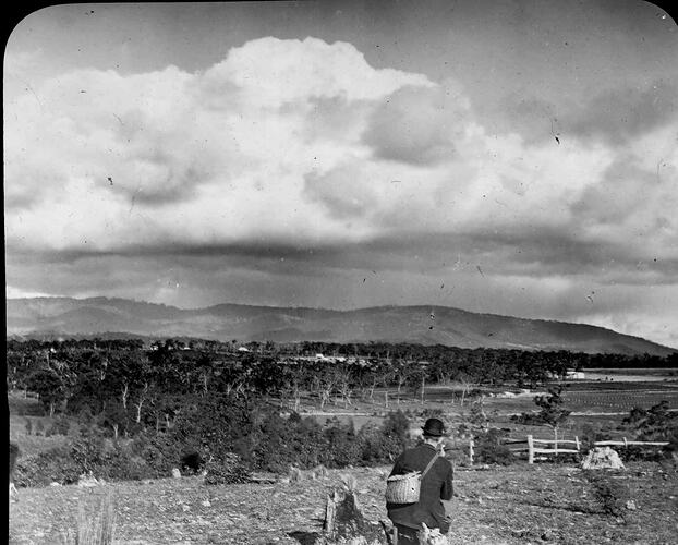 Lantern Slide - Country Scene, Australia, Date Unknown. [BA 1618]