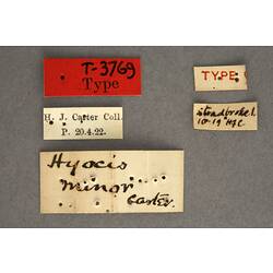 Handwritten specimen labels.