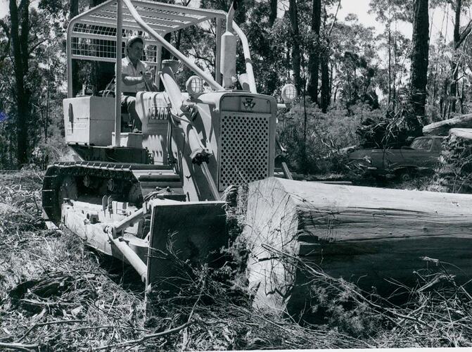 Man driving a crawler tractor fitted with a dozer blade pushing a large log in a forest.