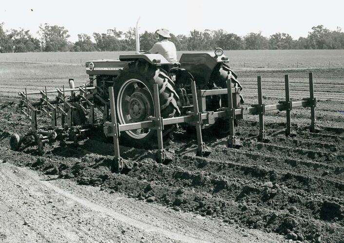 Rear view of a man driving a tractor fitted with a Mid-Mounted Cultivator and a rear toolbar with 7 tines atta