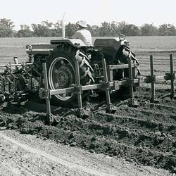 Photograph - Massey Ferguson, MF169 Mid Mounted Cultivator, circa 1969