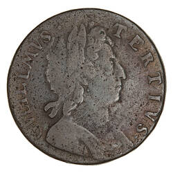 Coin - Halfpenny, William III, England, Great Britain, 1696 (Obverse)