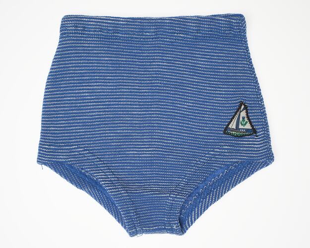 Blue and white striped bathing costume bottoms.