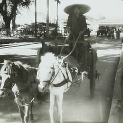 Carriage and driver pulled by two horses in foreground, streetscape in background.