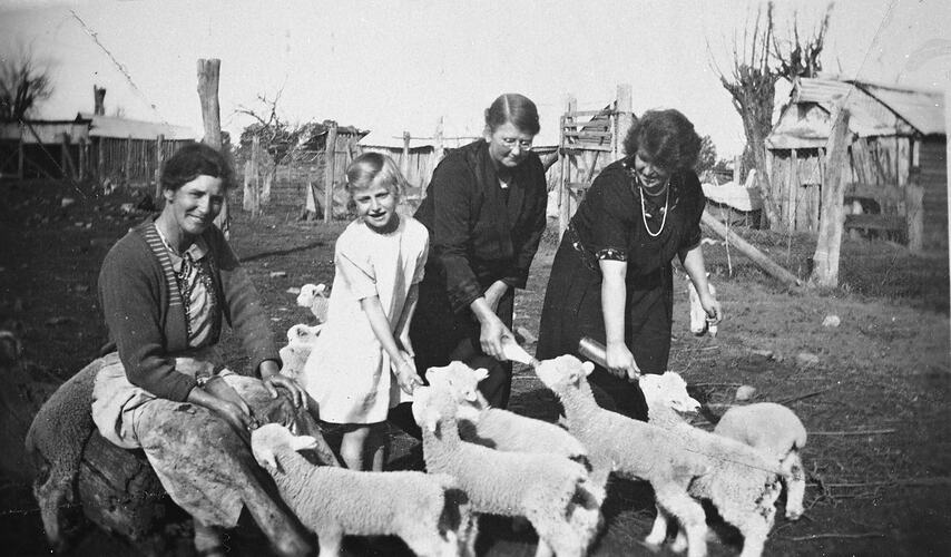 Three women and a girl bottle feeding lambs.