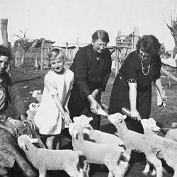 Negative - Women & a Girl Bottle Feeding Lambs at 'Wyadra' Farm, Tarrawingee, Victoria, circa 1935