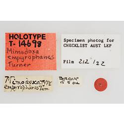 Entomology type specimen labels.