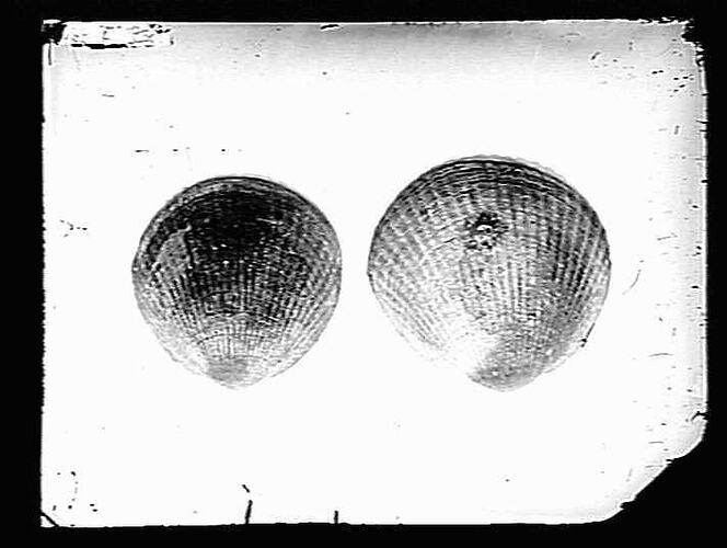 Negative - Glass