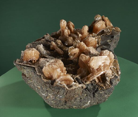 Grey rock with platy hexagonal crystals growing on it.