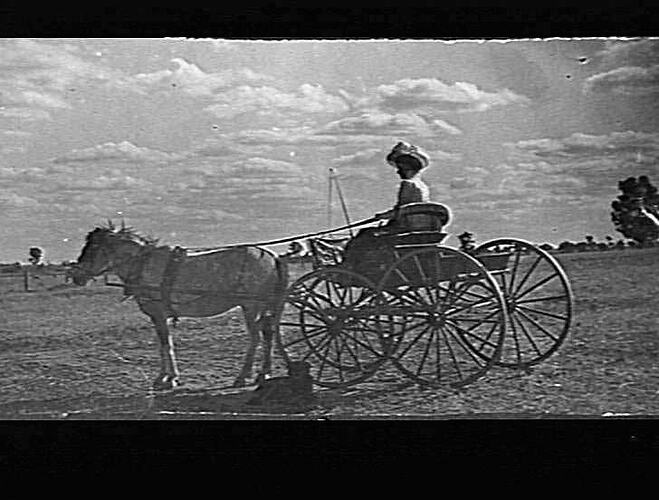 MERRIGUM - GERTY PITTS WITH HORSE AND BUGGY