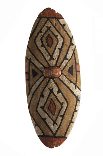 Rainforest shield decorated with red, yellow and black ochre.