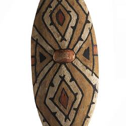 Rainforest shield decorated with red, yellow and black ochre.