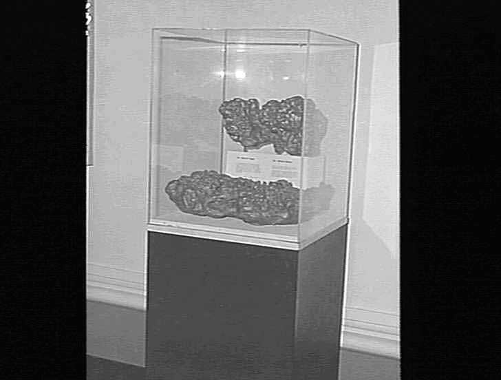 Gold Nugget Welcome Stranger 1869