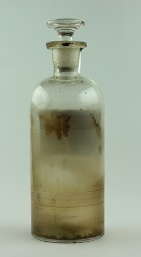 Apothecary Jar - Tincture of Myrrh, circa 1900