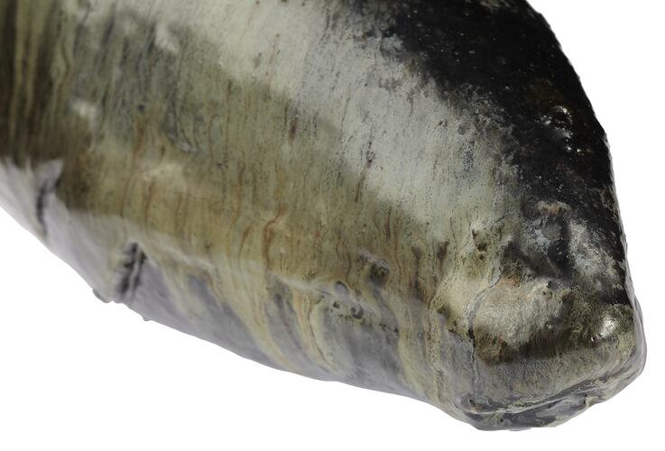 Ceramics, Australia, Gulf of Carpentaria