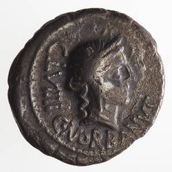 Coin - Denarius, C. NORBANVS, Ancient Roman Republic, 83 BC