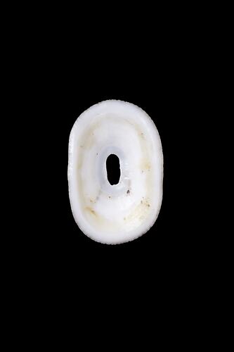 <em>Amblychilepas nigrita</em>, Black Keyhole Limpet, shell.  Registration no. F 178949.