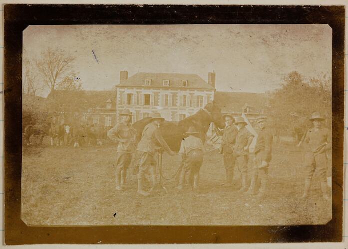 Soldiers standing with a large horse.