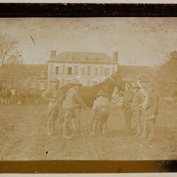 Photograph - Soldiers with a Horse, Somme, France, Private John Lord, World War I, 1916