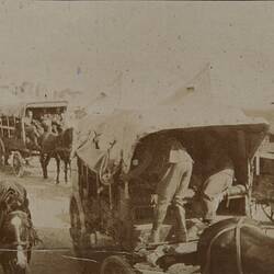 Photograph -  Horse Drawn Ambulances With Wounded Soldiers, World War I, 1914-1918