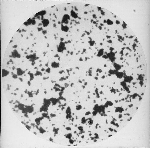 Microscopic View of Emulsion Grains, History of Photography & Emulsion Making, circa 1950s