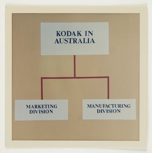 Slide 336, 'Extra Prints of Coburg Lecture', Kodak Australasia Pty Ltd, Organisational Chart, circa 1960s