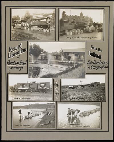 Liberation of Rainbow Trout Yearlings, Camperdown, Sep 1923