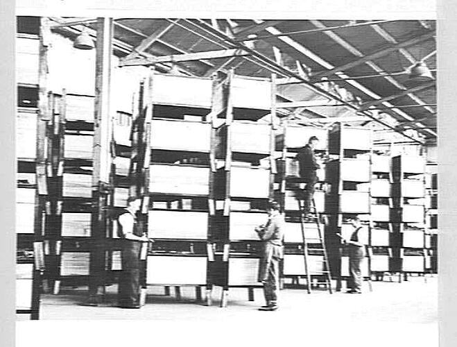 TOTE BOXES: MAY 1955