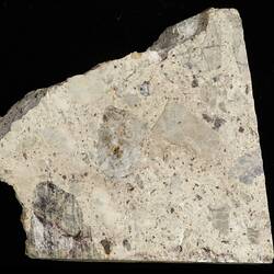 Pena Blanca Spring Meteorite. [E 12327]