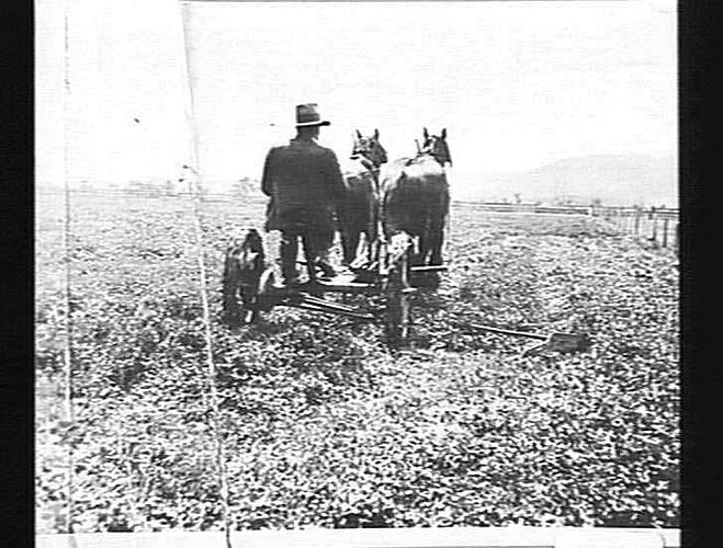PHOTOGRAPH of HORSE DRAWN MOWER