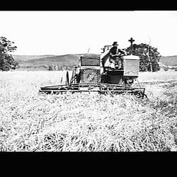 Photograph - H.V. McKay Massey Harris, Farm Equipment Manufacture & Field Trials, Balliang, Victoria, Jan 1932