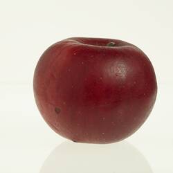 Wax model of an apple with stem, painted dark red, with stem.