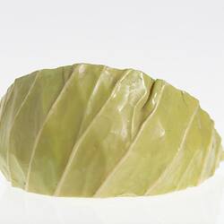 Wax model of pale green section of cabbage.