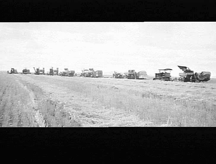 Photograph - H.V. McKay Massey Harris, Farm Equipment Manufacture ...