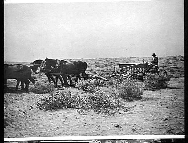 `SUNDERSEEDER' ON MR. HARKNESS' FARM, KIAMAL VIA OUYEN: APRIL 1929