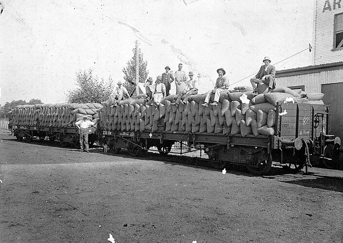 Wheat harvest at the Natimuk Railway Station, circa 1916