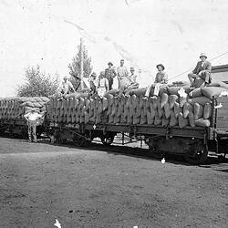 Negative - Wheat Delivery on Railway Flat Trucks, Natimuk, Victoria, circa 1916