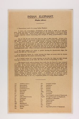 Cream rectangular label with extensive black text.