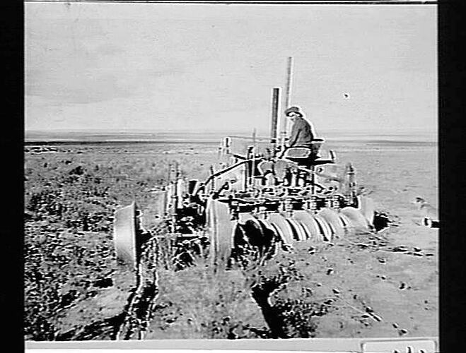 NO. 16. SCRUB PLOUGH ON MCKAY BROS' FARM KOORDA W.A. OCT 1928.