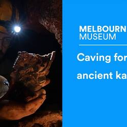 Youtube: Going deep underground for a 50,000 year old fossil kangaroo
